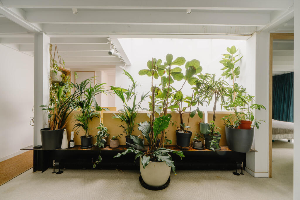 298778 - Florida Road_High Res-23.jpg