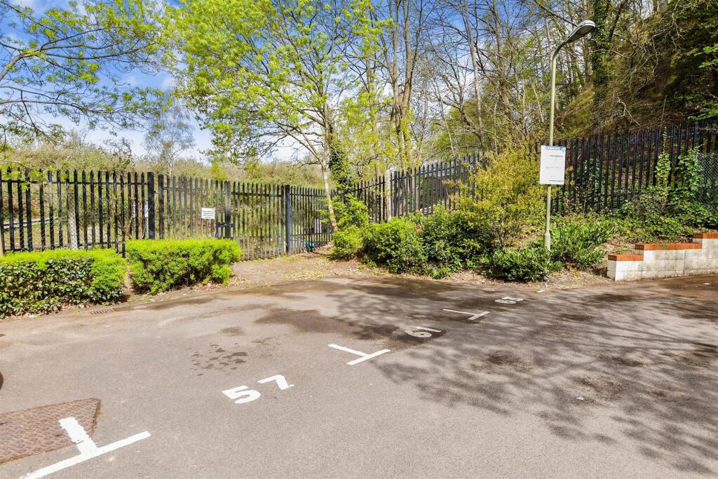 Driveway/Parking