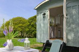 Shepherd's hut