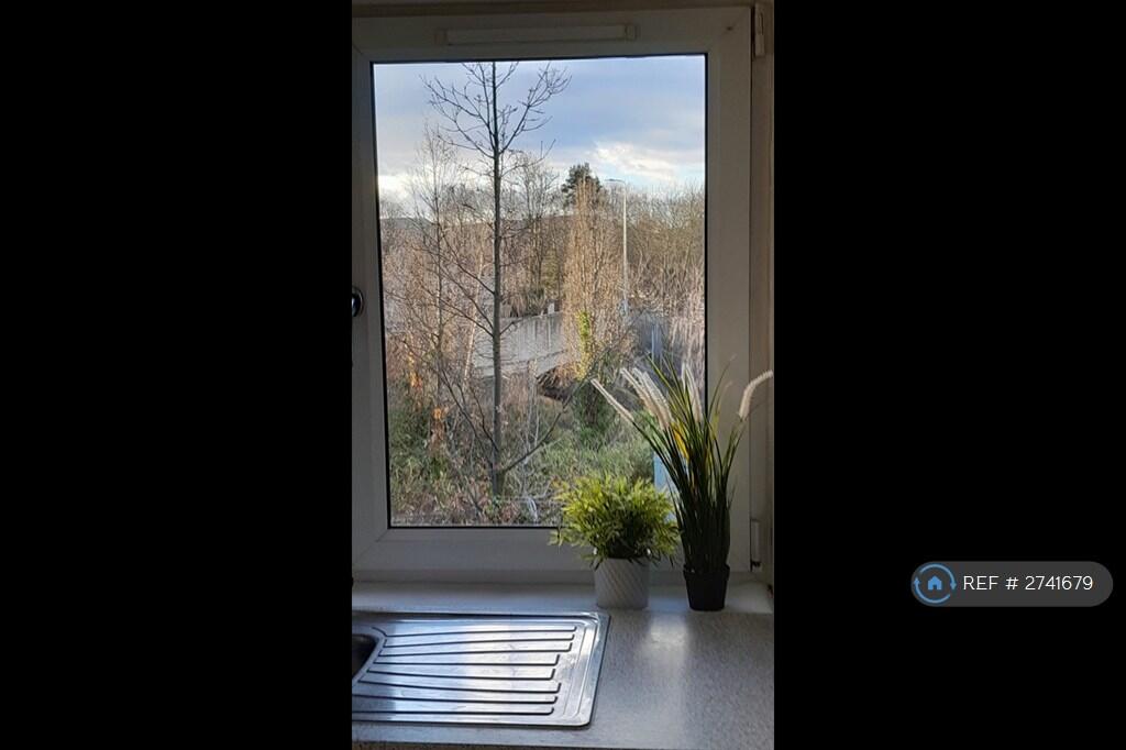Kitchen View