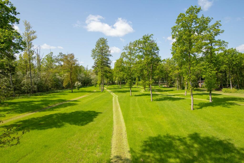 Grounds