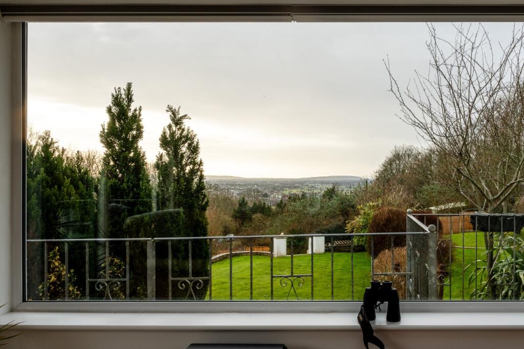 View From Window