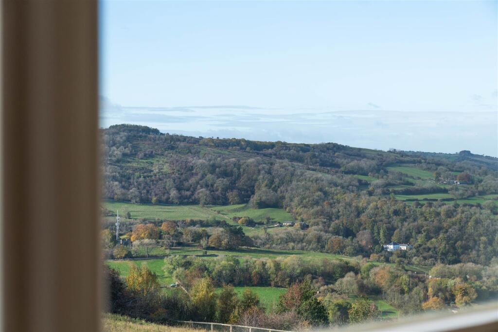 DSC04684.jpg
