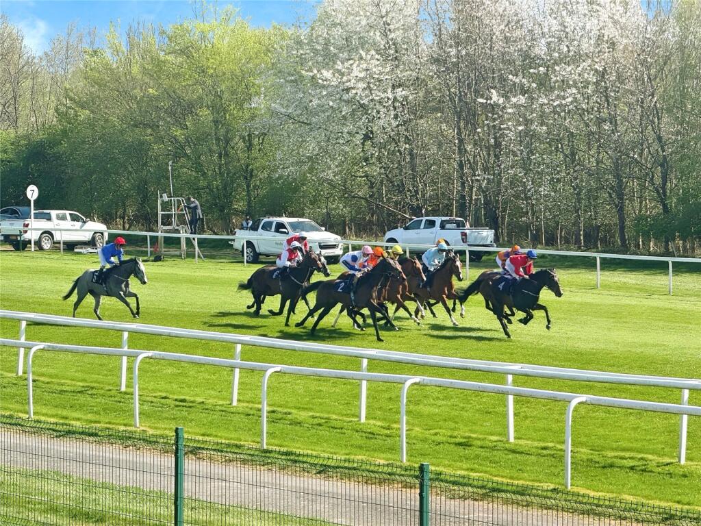 Racecourse View