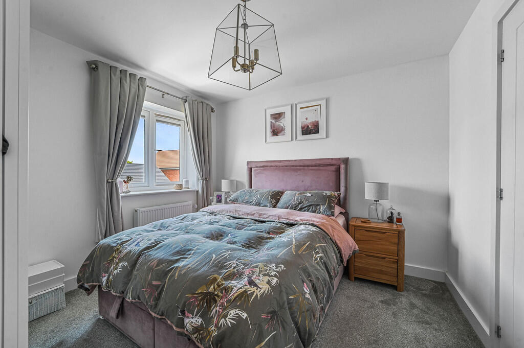 PT-DB(WP)-5PyesCl...