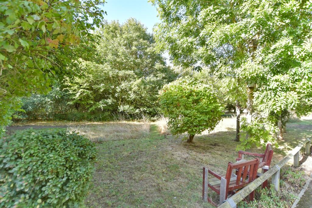 Surrounding Area