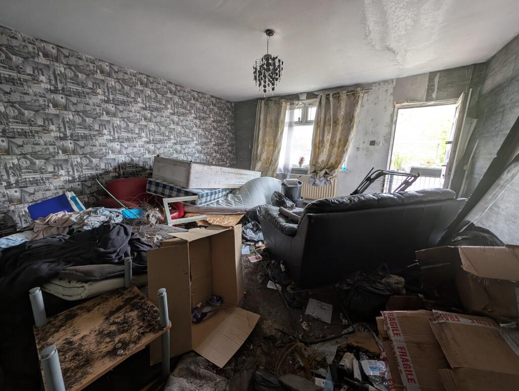 PXL 20250414 142602592-min T202504151119.jpg