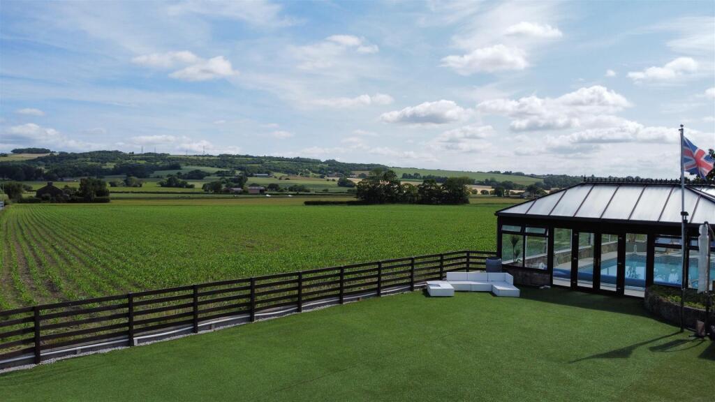 Red Cat Lane Rear Views