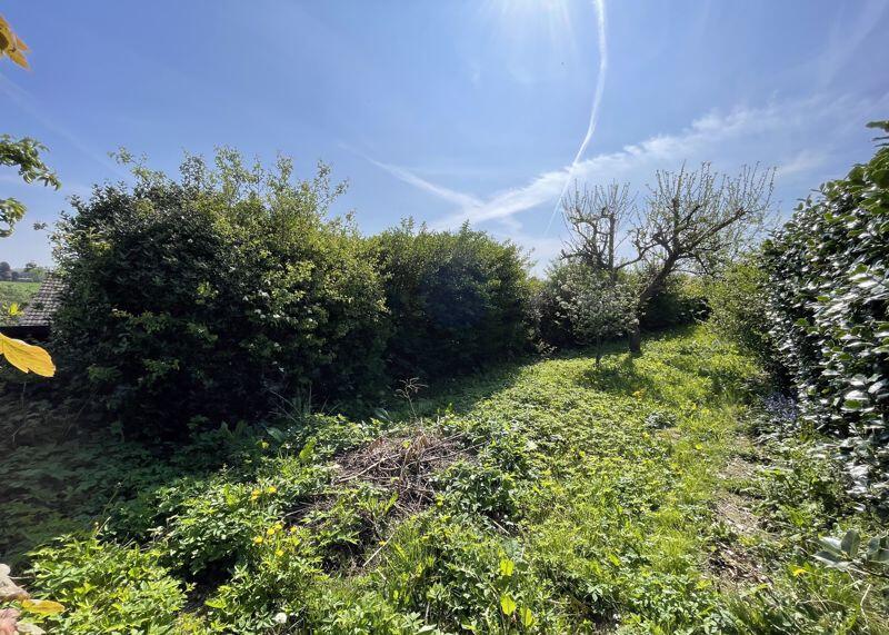 Garden (In Need Of Landscaping)