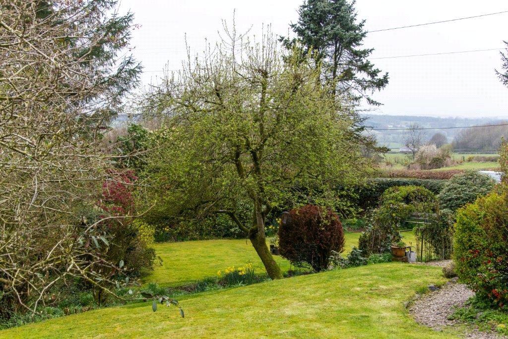 View From Garden