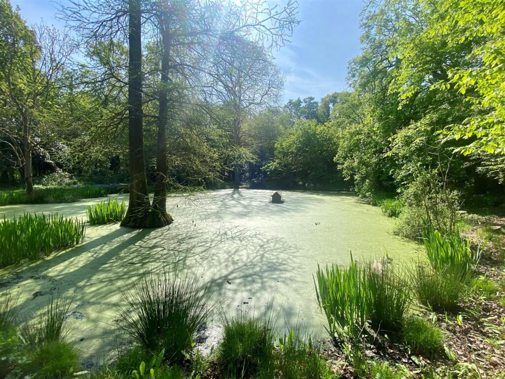Pond 2 Pott.jpg