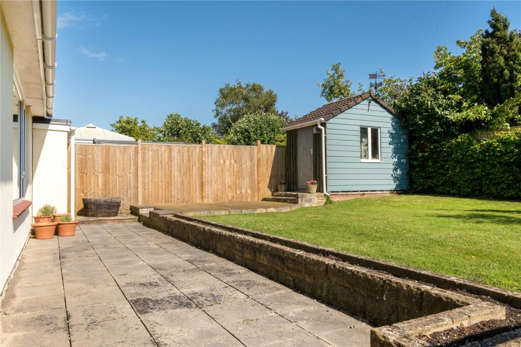 Back Garden