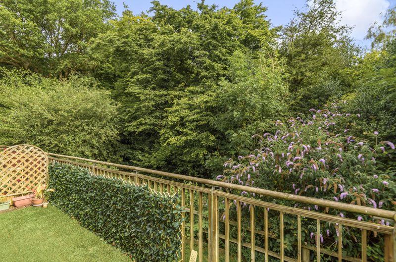 Woodland views...
