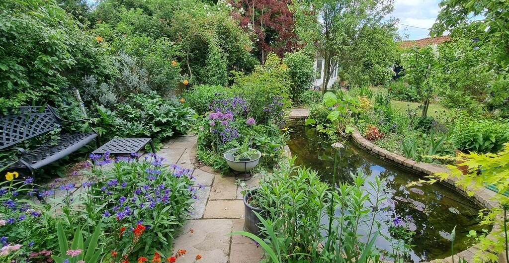 pond