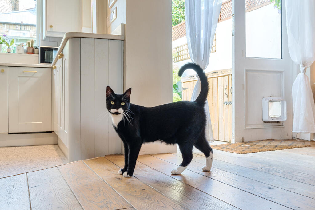 1326949-1-6877c64...