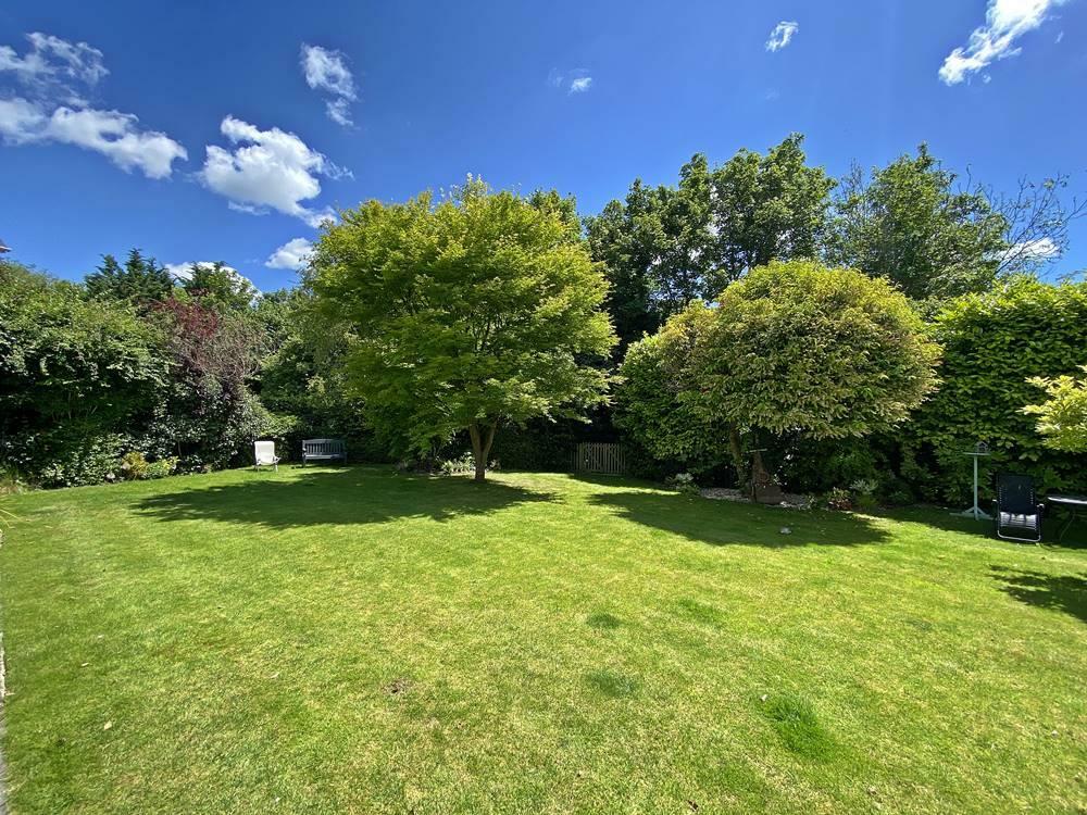 garden.jpg
