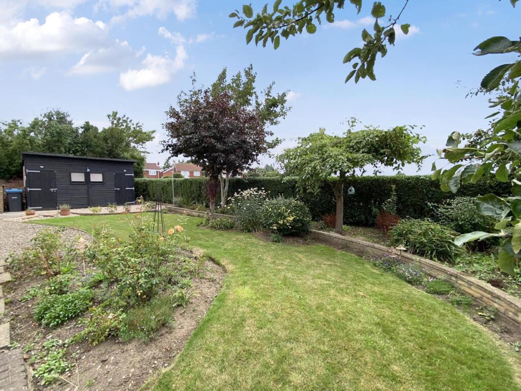 9018372-105979-133982900207666432-fa8053de-da98-44