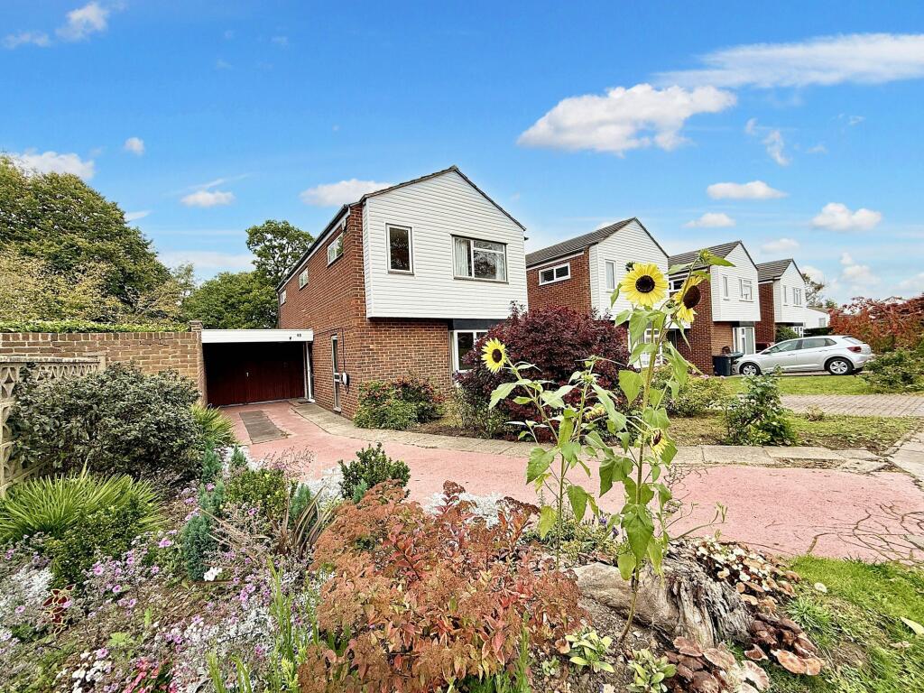 Woodhatch Spinney, Coulsdon, CR5