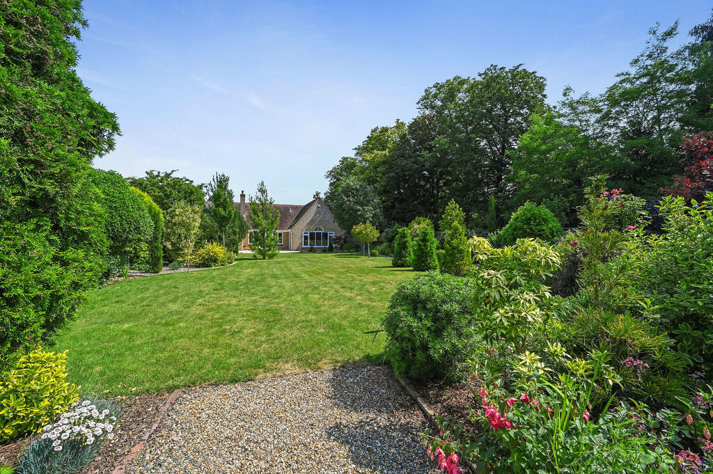 PT-DB(WP)-Brindle...