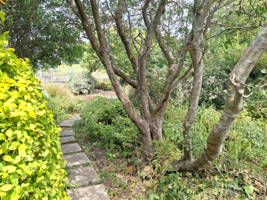 Lake from Private Gate.jpg