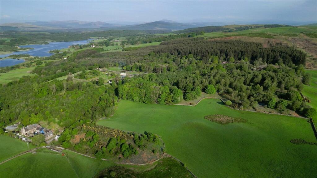 Parton Woodland