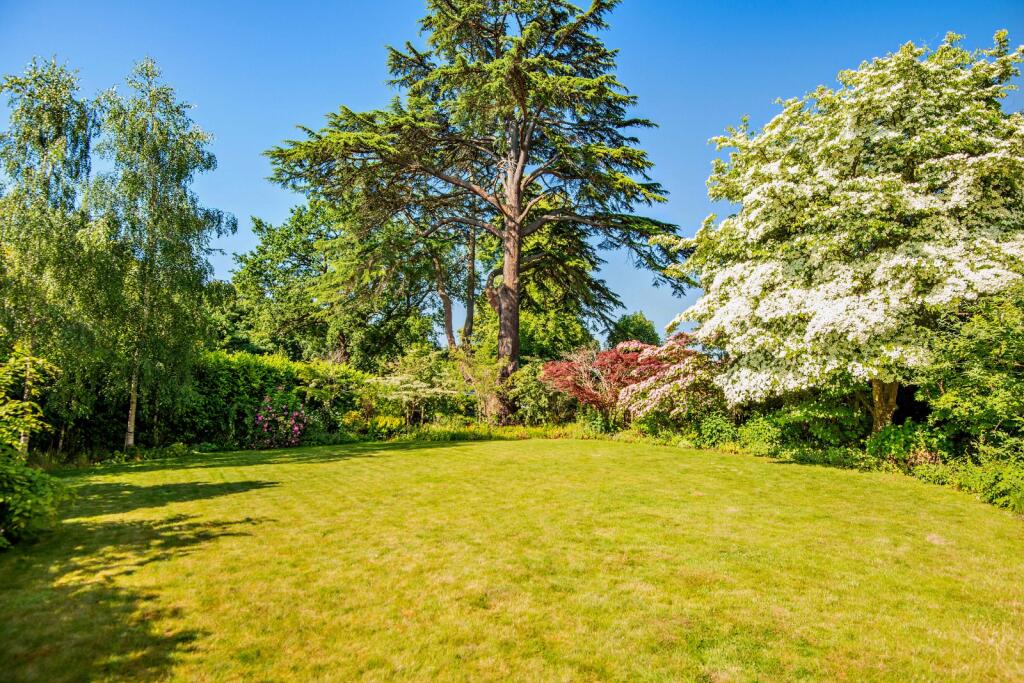 South Facing Garden