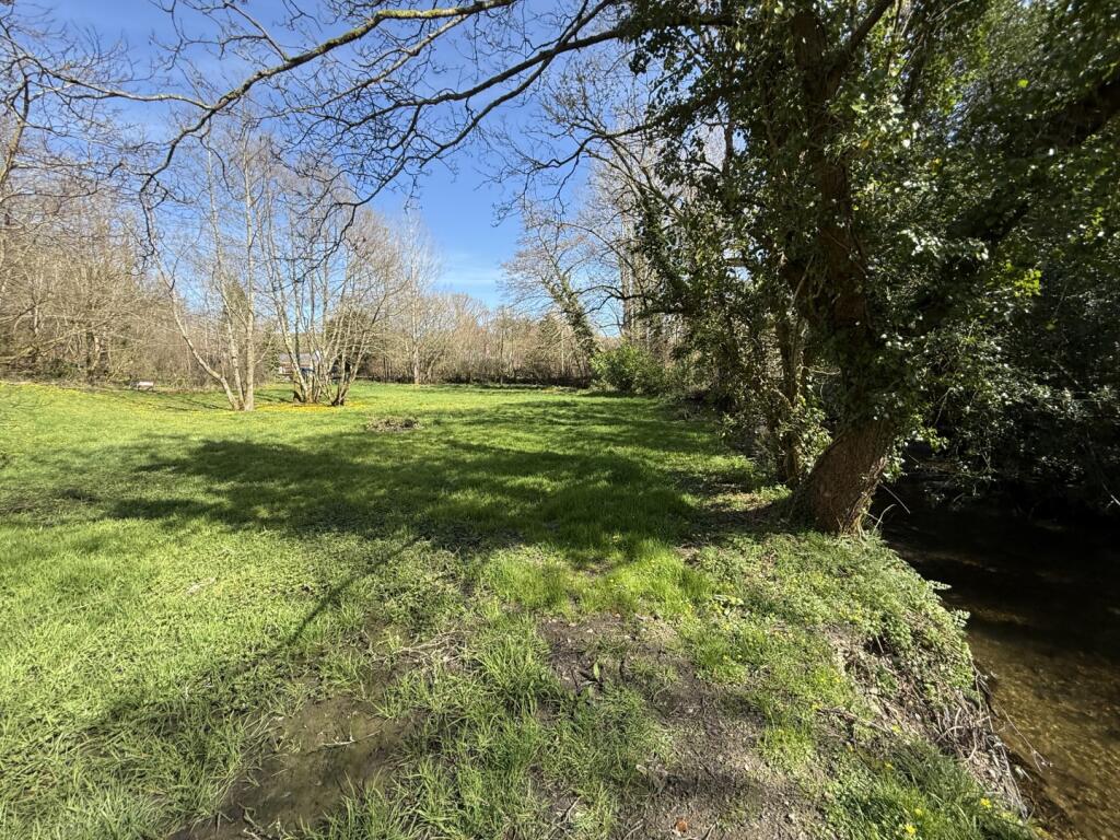 IMG 5401  Large  T202505021202.jpeg