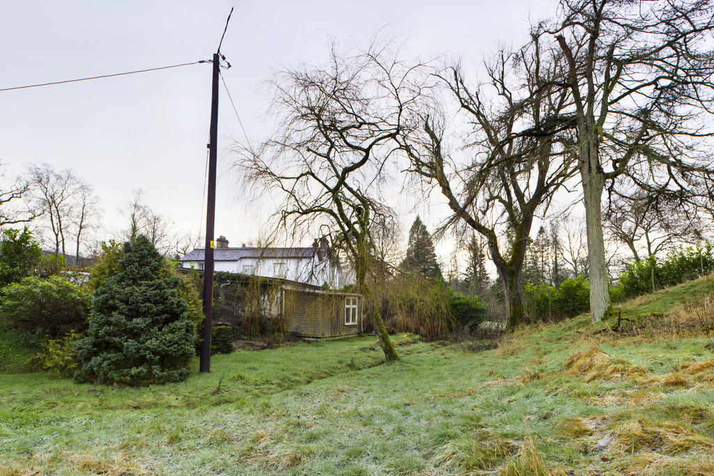 Garden and Shed