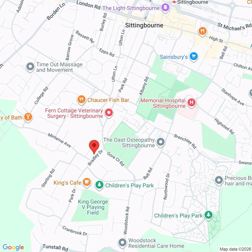 Google Maps Image