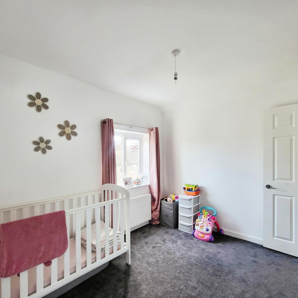 585bbf11-20241111_141638