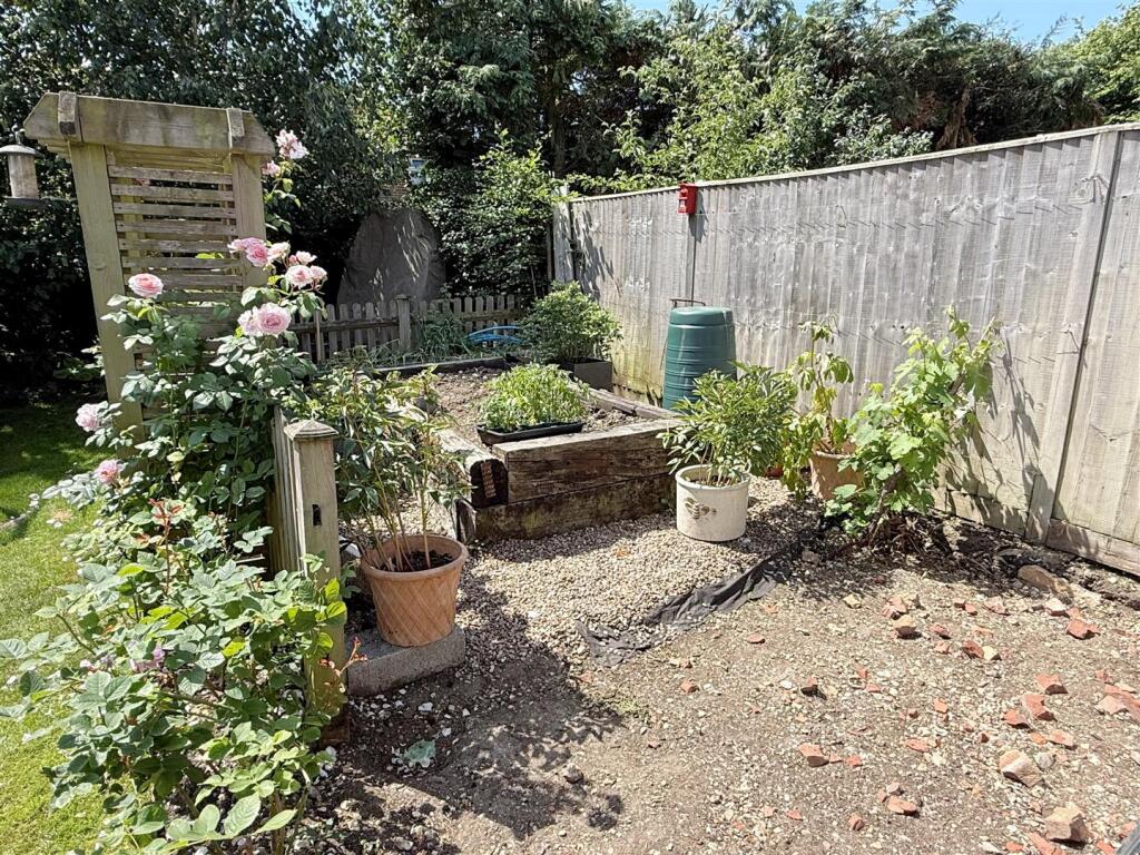 Grd veg patch 1.JPG