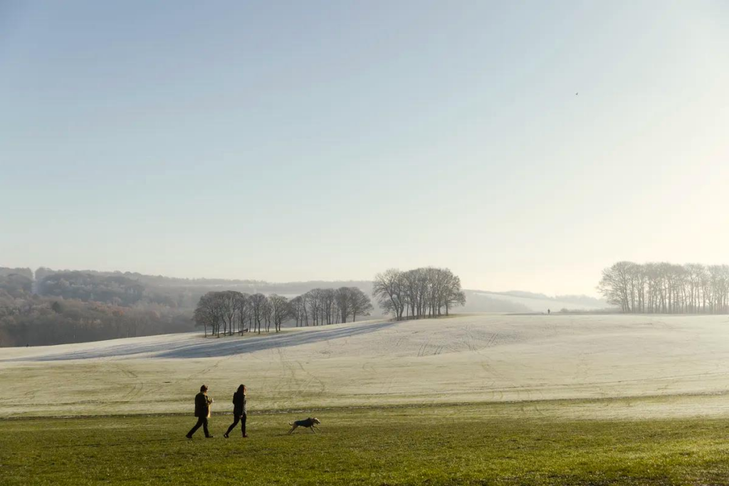Temple Newsam Park