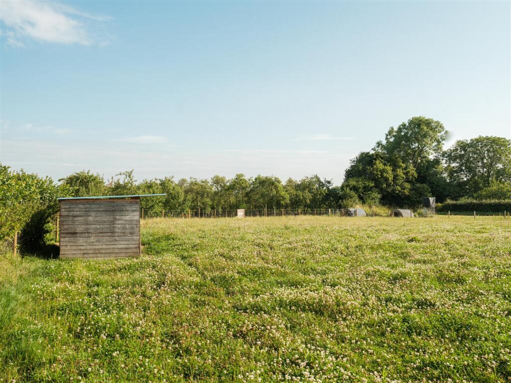 The Field.jpg