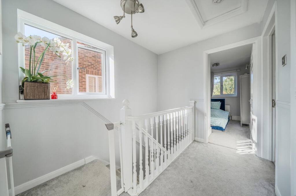 1354645-12-68d17a...