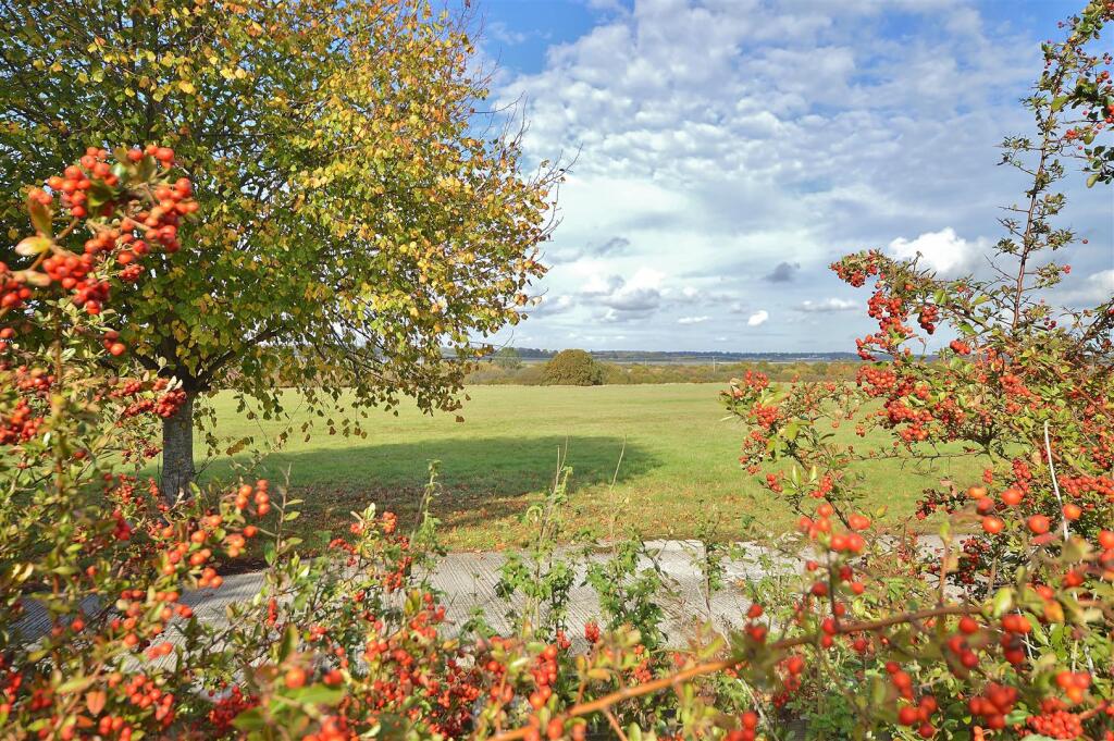 view.JPG