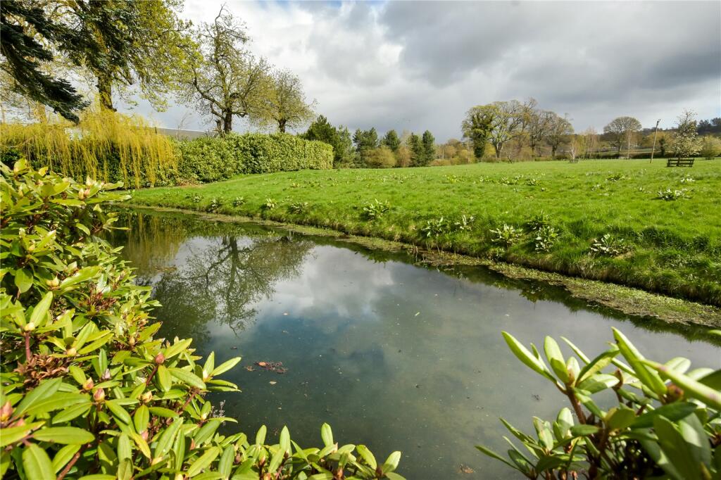 Pond