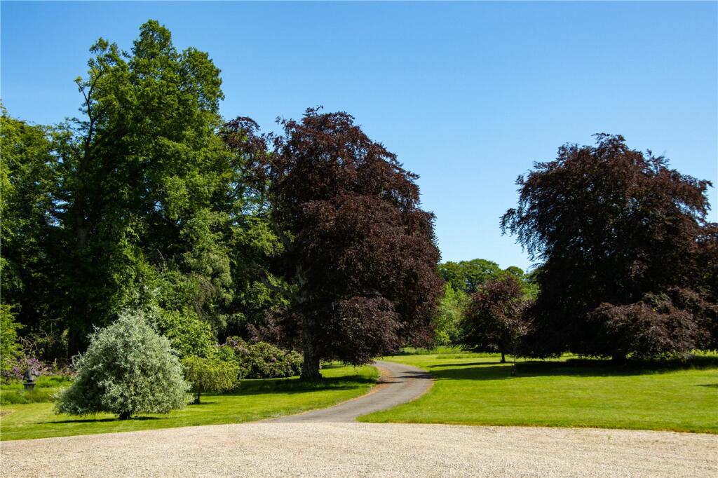 Lawn
