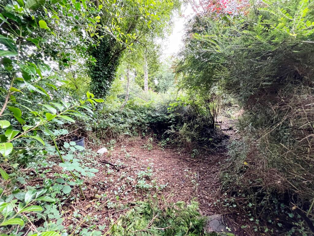 IMG 5260 T202408271412.jpeg