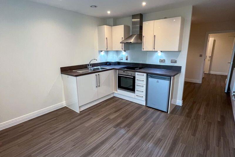 Kitchen/Living Area