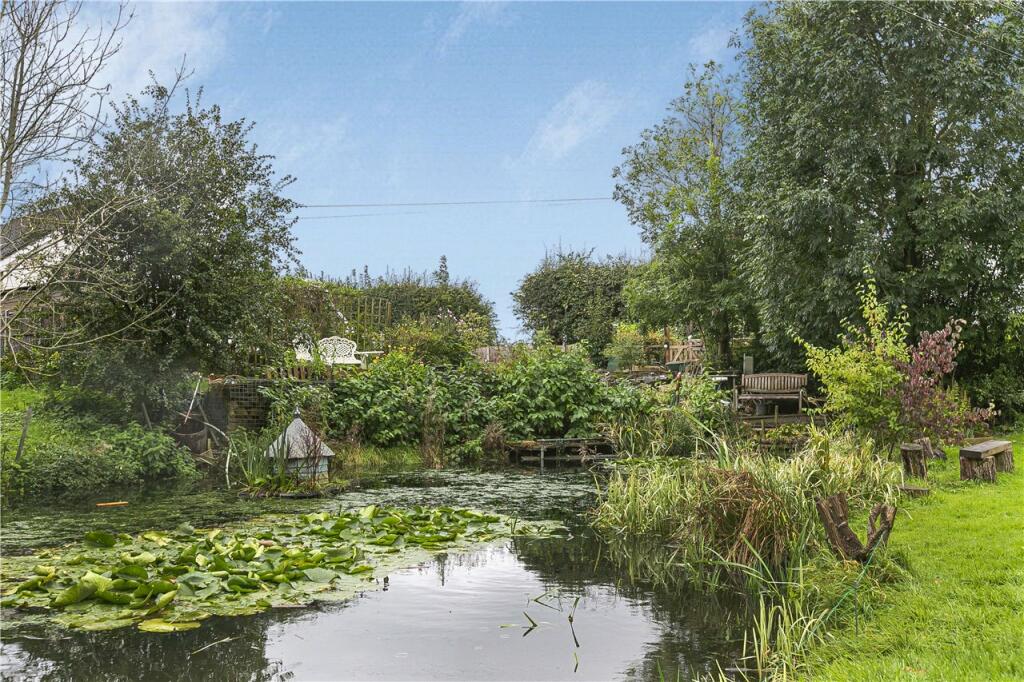 Pond