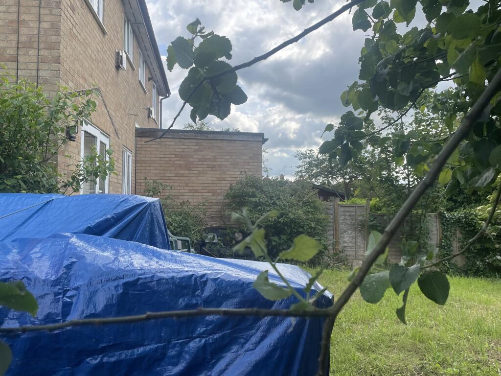 IMG 1831 T202405281315.jpeg