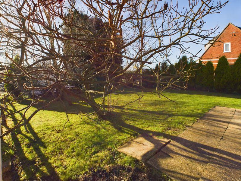 Initial Garden