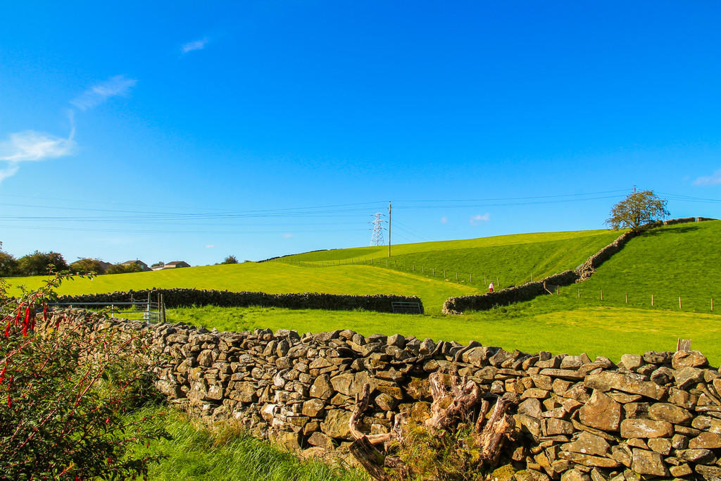 Open fields to th...