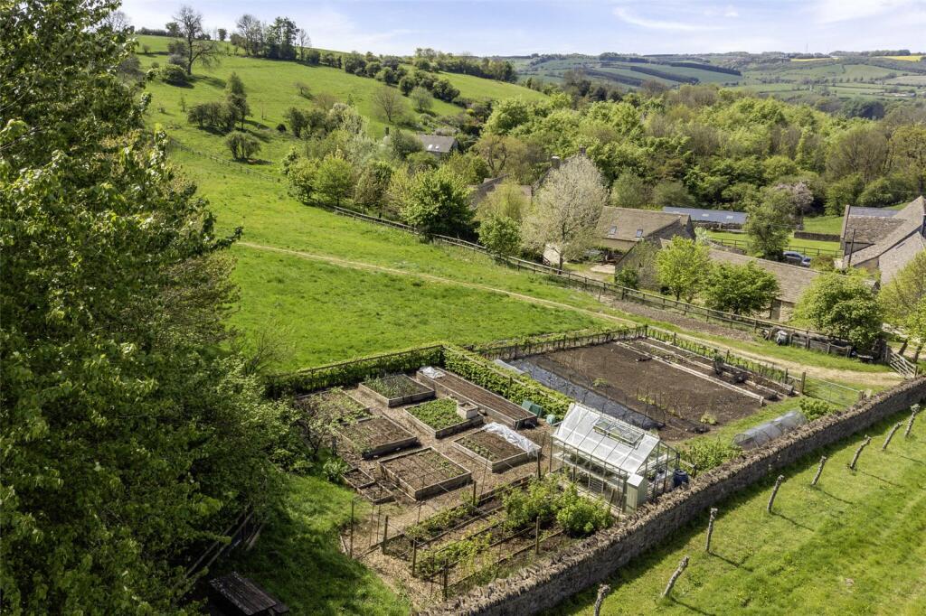 Vegetable Area