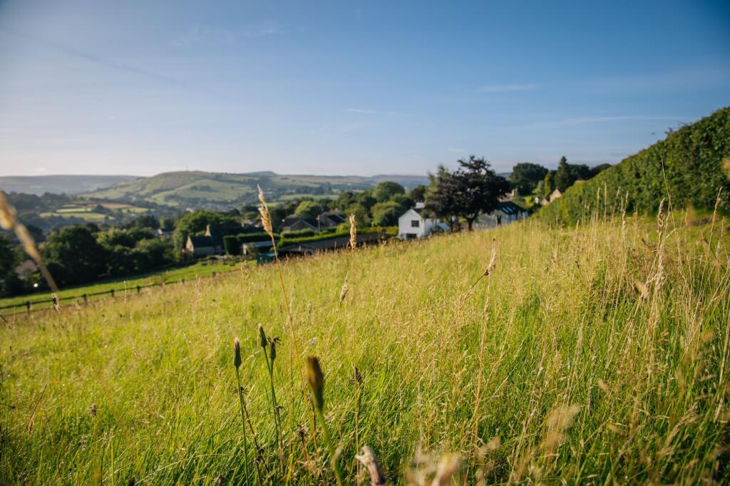 Views and Garden