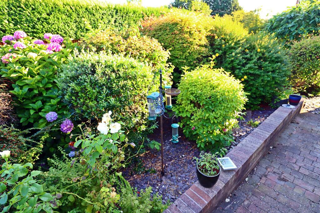 Side Garden