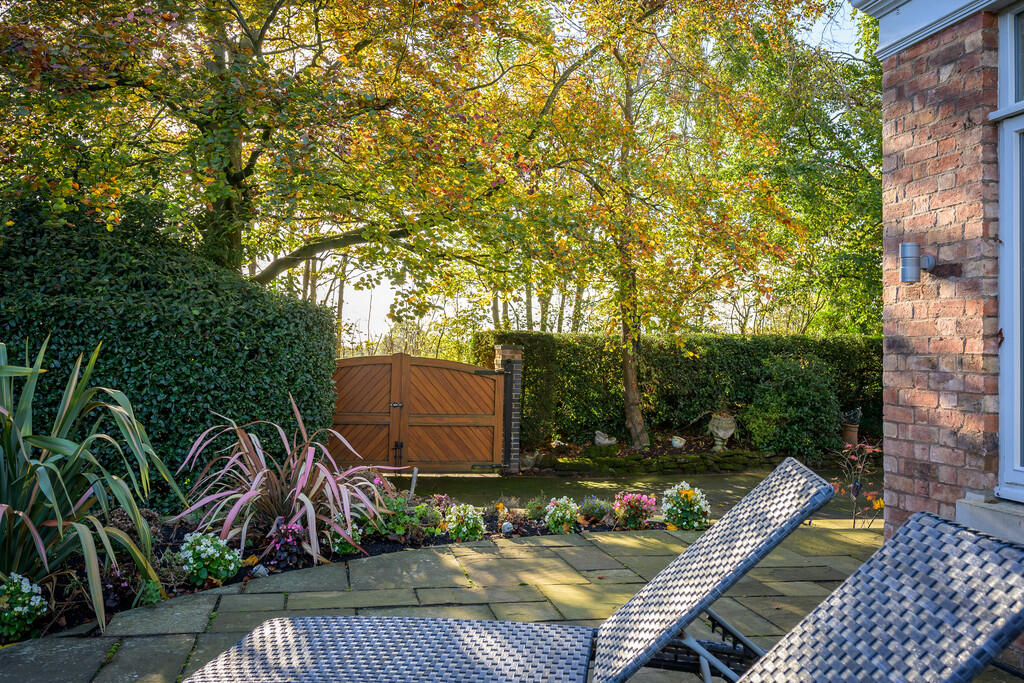 Patio and Gates 