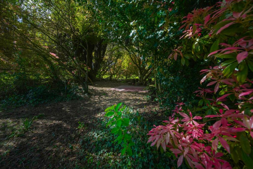 Woodland