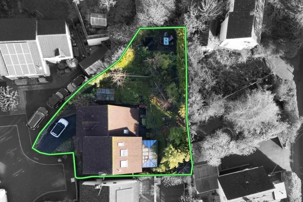 TEK HiRes 241202 007.jpeg