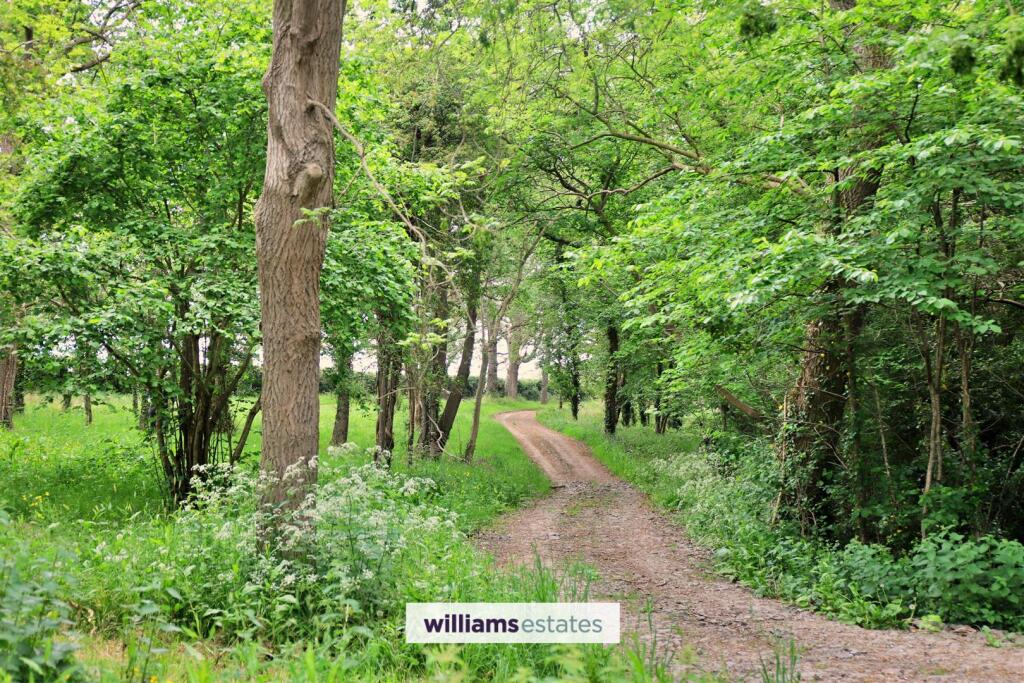 Woodland